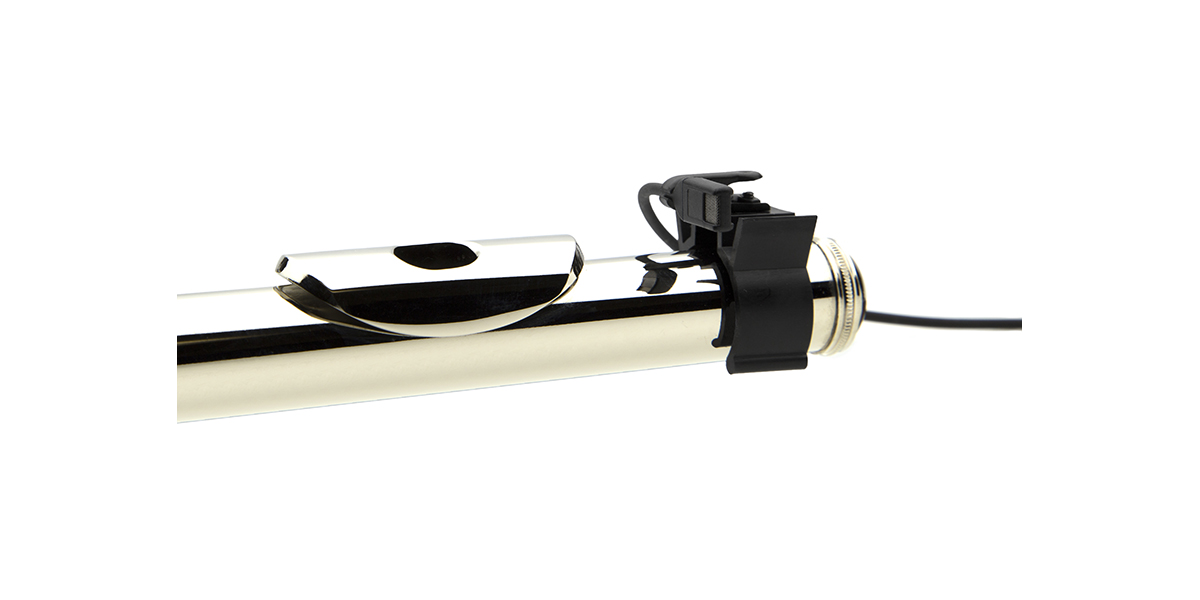 Microphone For Recording Flute at Richard Carlisle blog